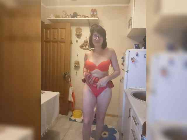 Vlastelina webcam
