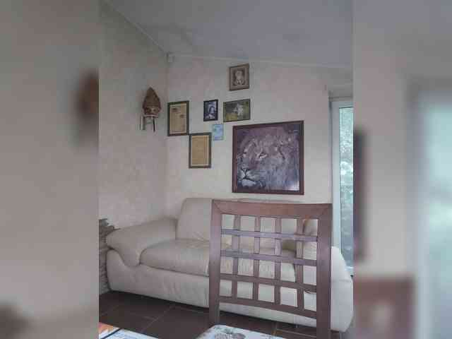 Vlastelina webcam