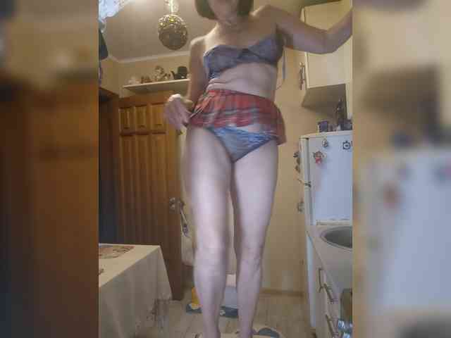Vlastelina webcam
