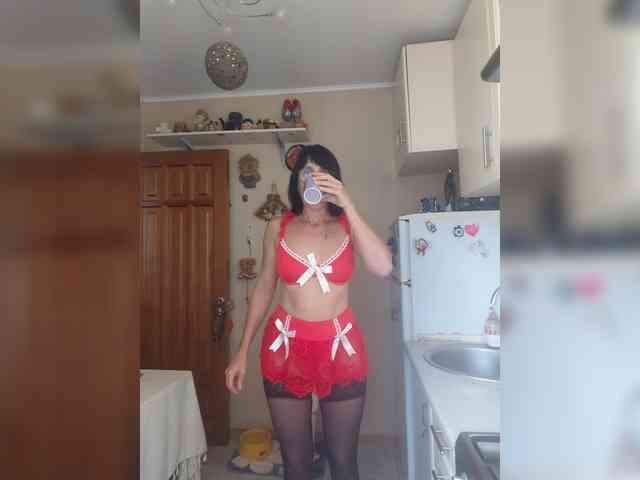 Vlastelina webcam