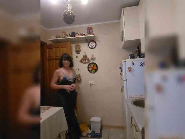 Vlastelina webcam