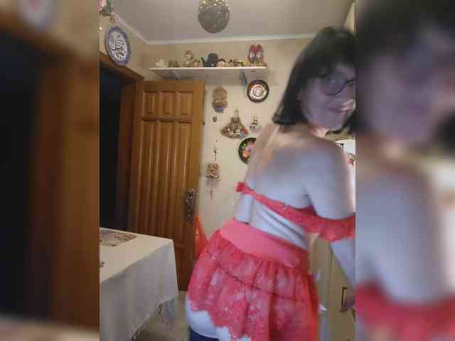 Vlastelina webcam