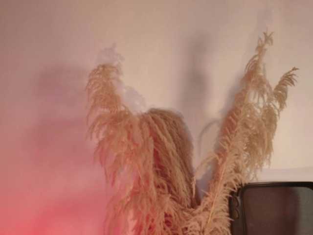 Dulcedeyan live cam on BongaCams