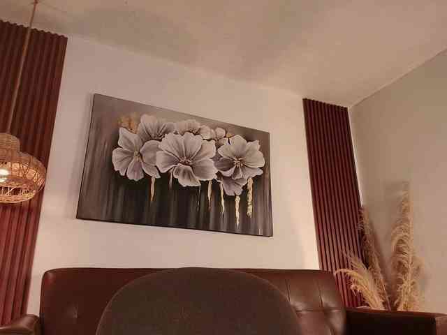 Dulcedeyan webcam