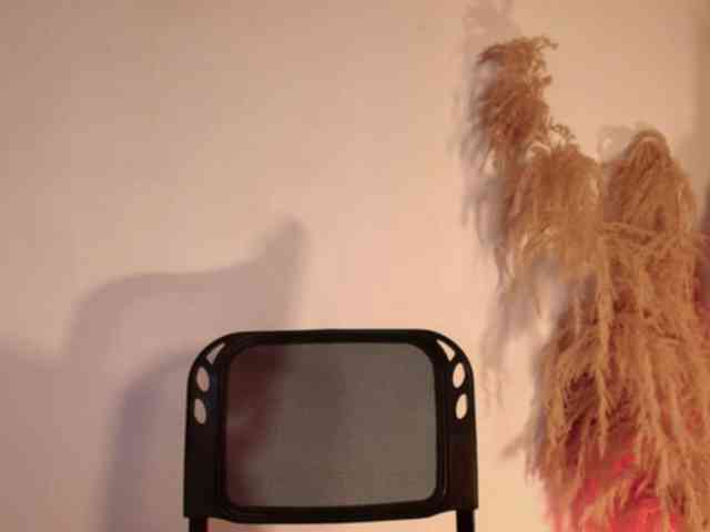 Dulcedeyan webcam