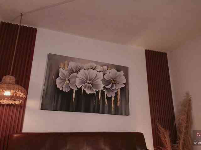 Dulcedeyan webcam
