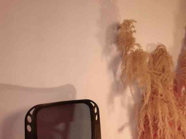 Dulcedeyan webcam