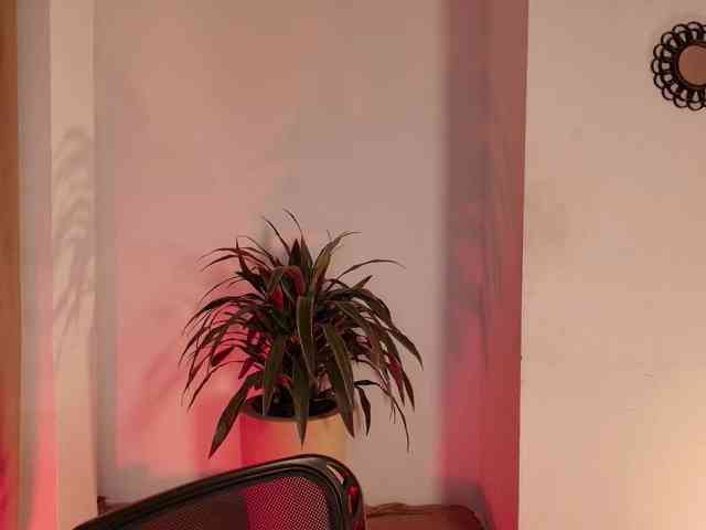 Dulcedeyan webcam