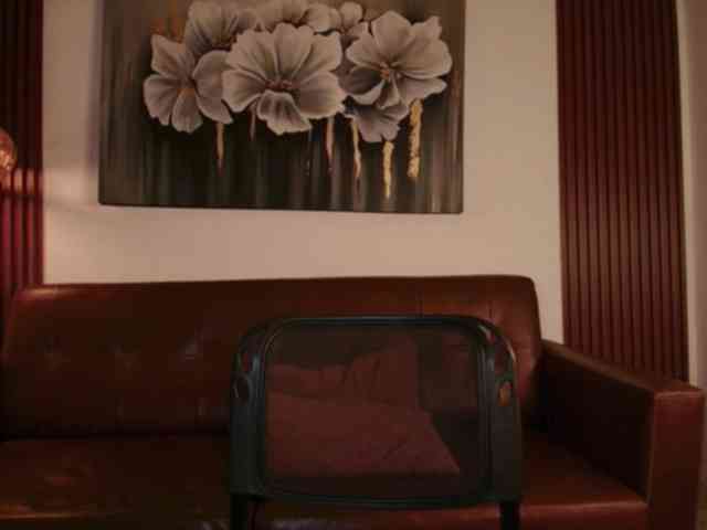 Dulcedeyan webcam