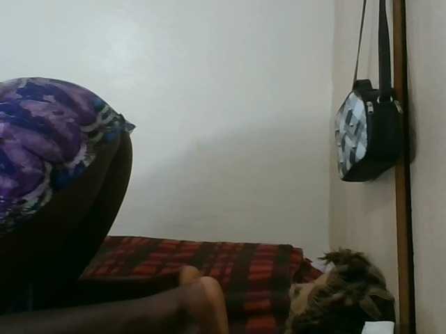 Niceone5 live cam on BongaCams