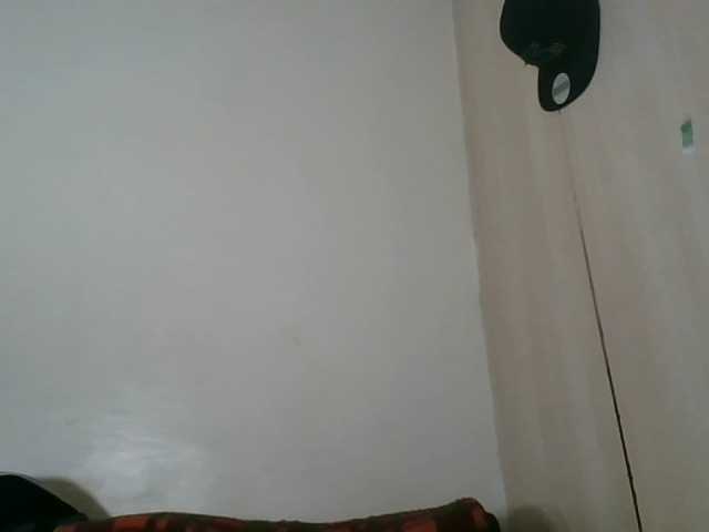 Niceone5 live cam on BongaCams