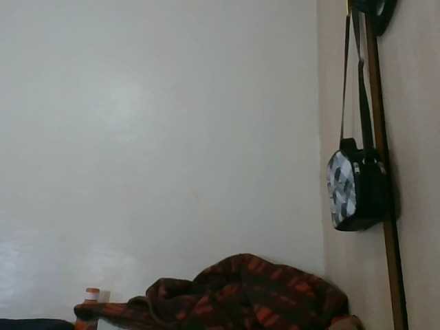 Niceone5 live cam on BongaCams