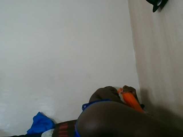Niceone5 live cam on BongaCams