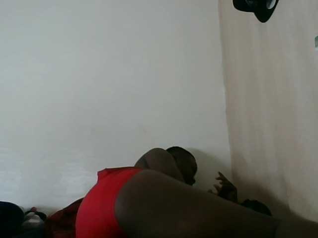 Niceone5 live cam on BongaCams