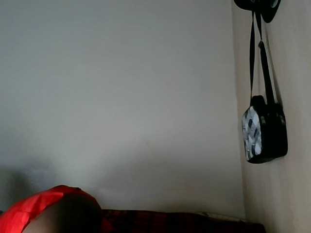 Niceone5 live cam on BongaCams