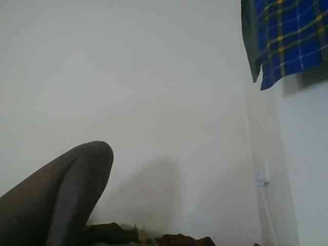 Niceone5 webcam