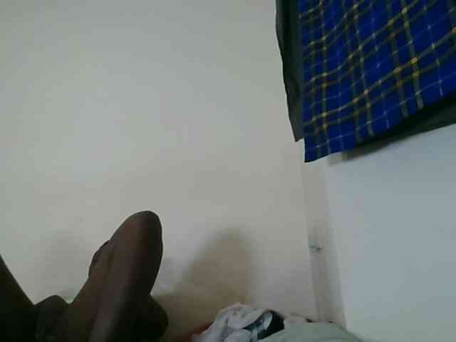 Niceone5 webcam