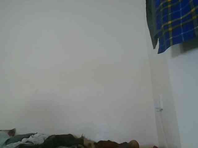 Niceone5 webcam
