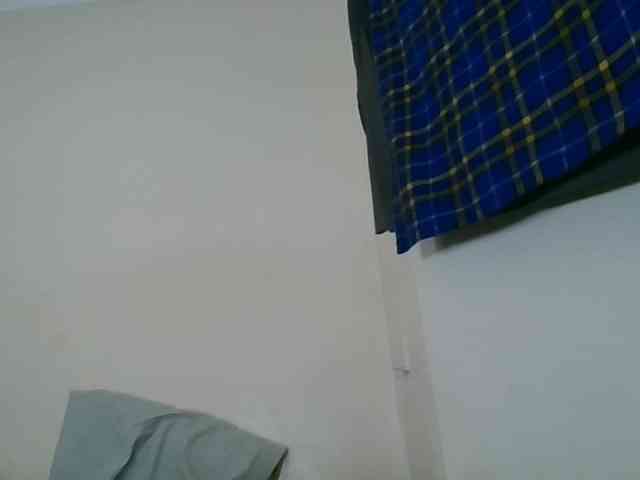 Niceone5 webcam