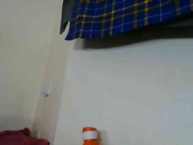 Niceone5 webcam