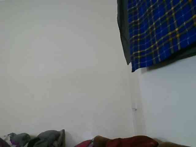 Niceone5 webcam