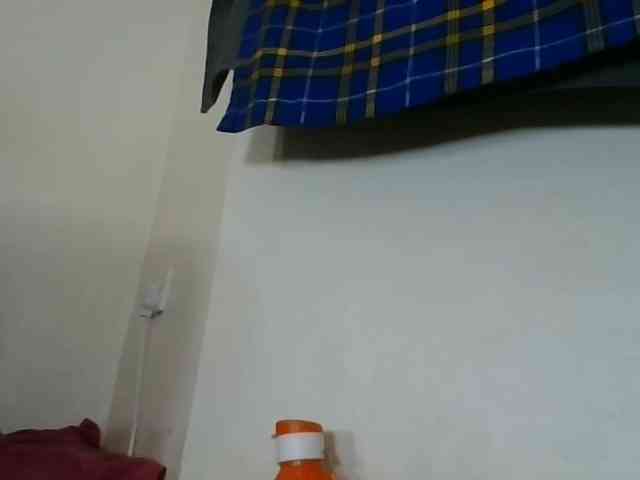 Niceone5 webcam