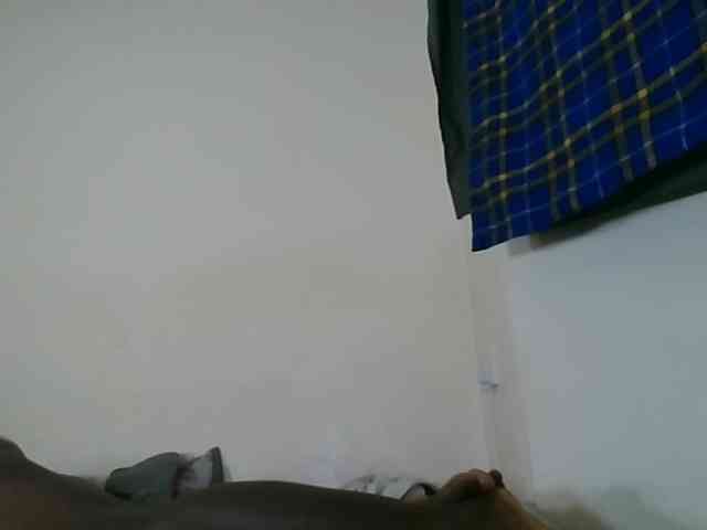 Niceone5 webcam