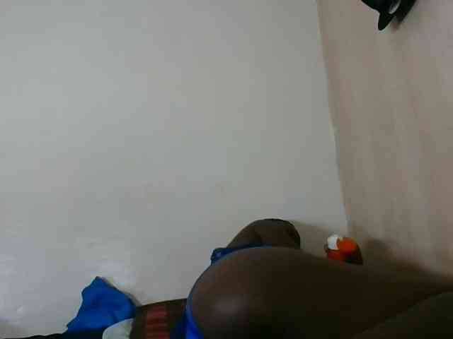 Niceone5 webcam