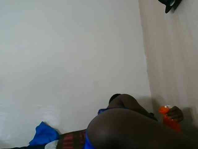Niceone5 webcam