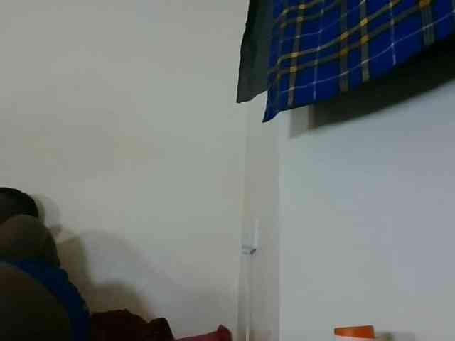 Niceone5 webcam