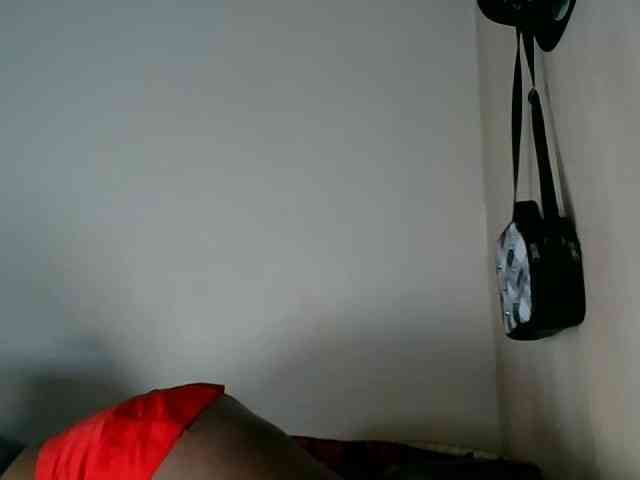 Niceone5 webcam