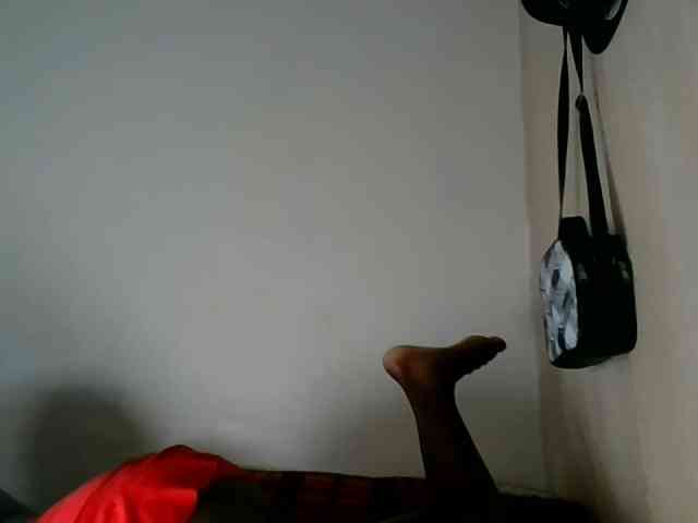 Niceone5 webcam