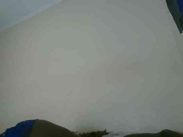 Niceone5 webcam