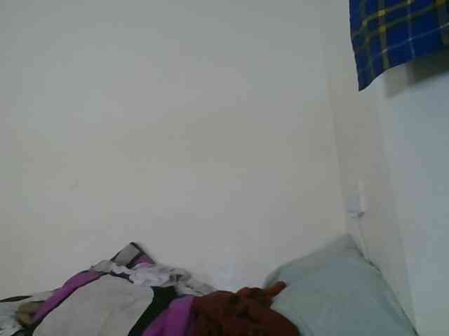 Niceone5 webcam