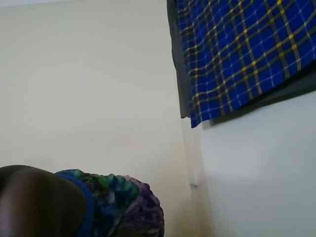 Niceone5 webcam