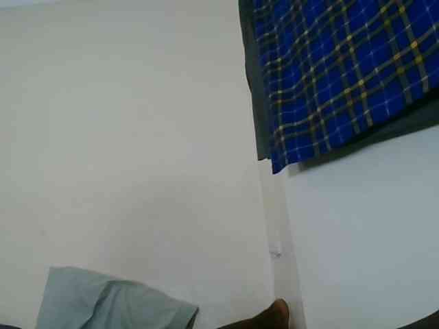 Niceone5 webcam