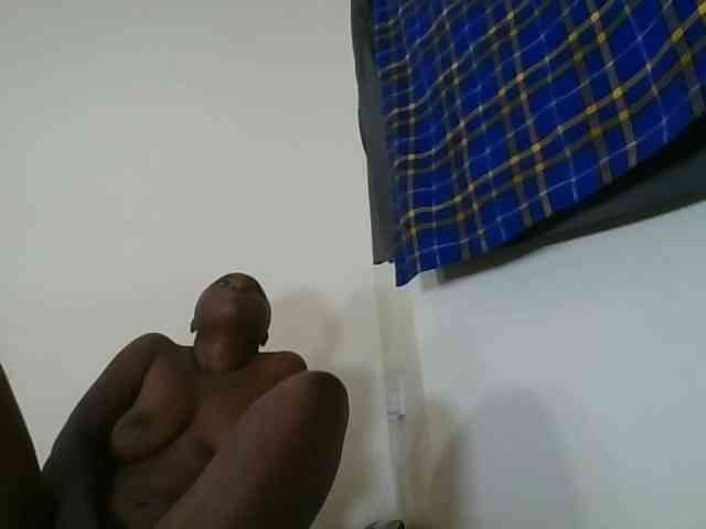 Niceone5 webcam