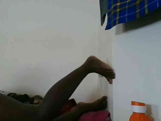Niceone5 webcam