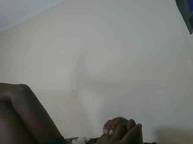 Niceone5 webcam