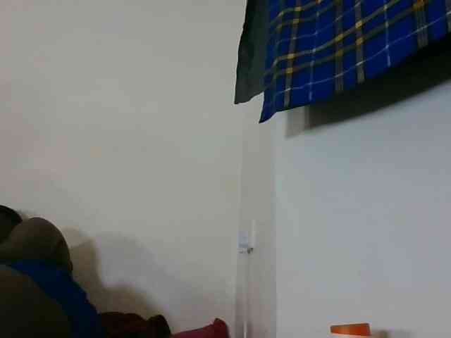 Niceone5 webcam