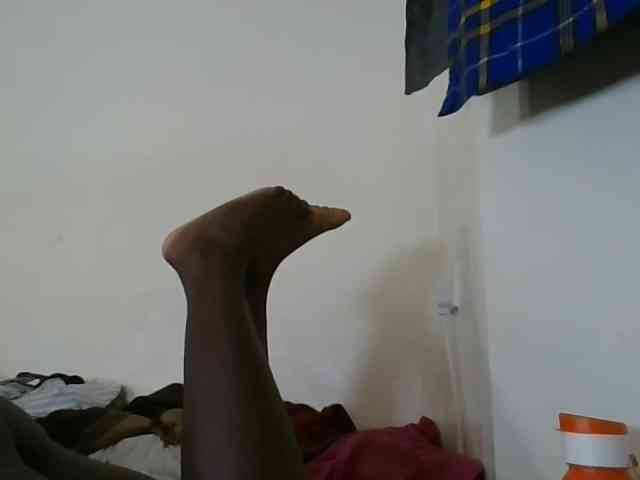 Niceone5 webcam