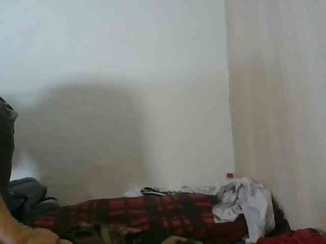 Niceone5 webcam