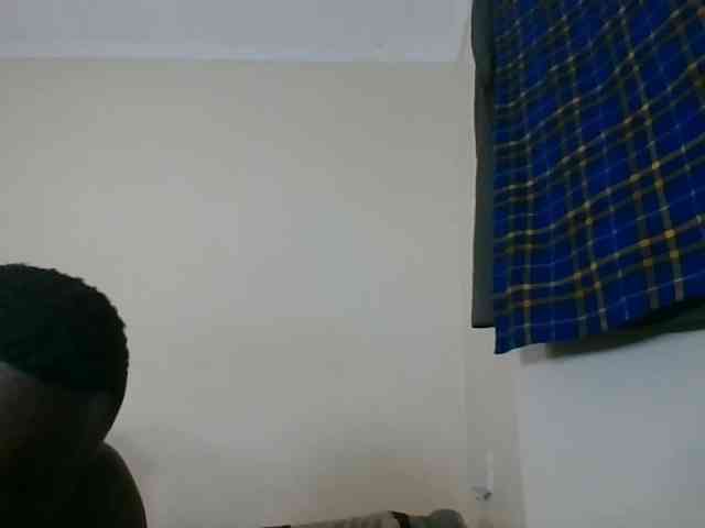 Niceone5 Live Webcam on BongaCams