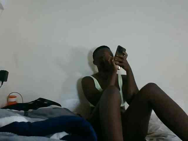 Niceone5 webcam