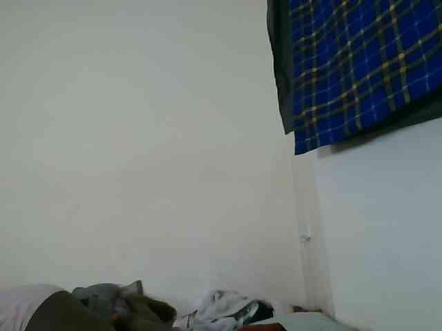 Niceone5 webcam