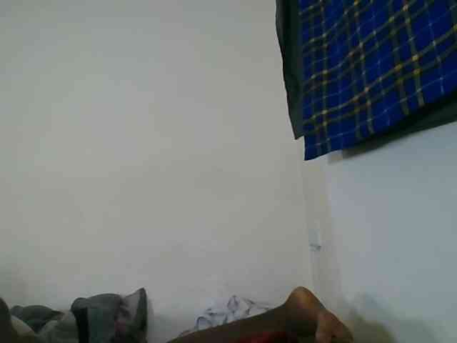Niceone5 webcam
