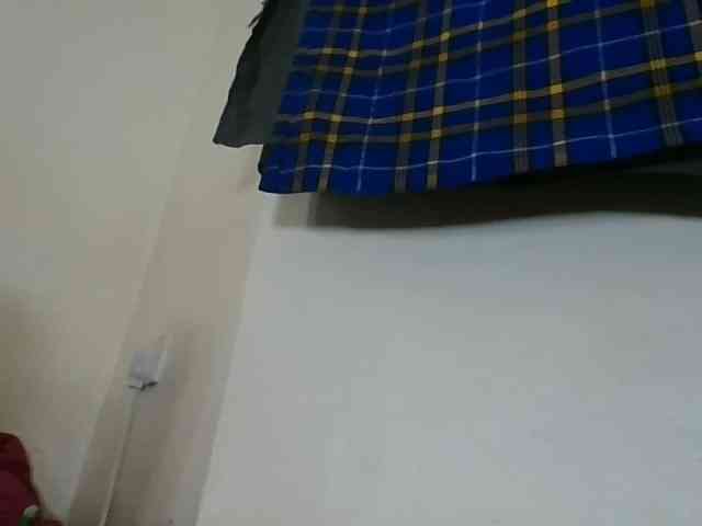 Niceone5 webcam