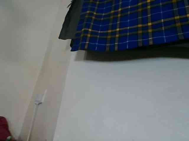 Niceone5 webcam