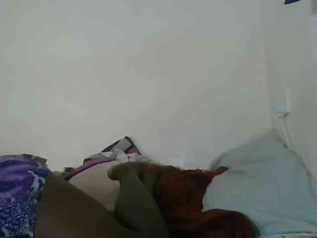 Niceone5 webcam