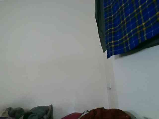 Niceone5 webcam